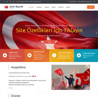 Ankara Web Tasarım -  Alan Adı 